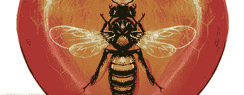 Bless The Bees Art